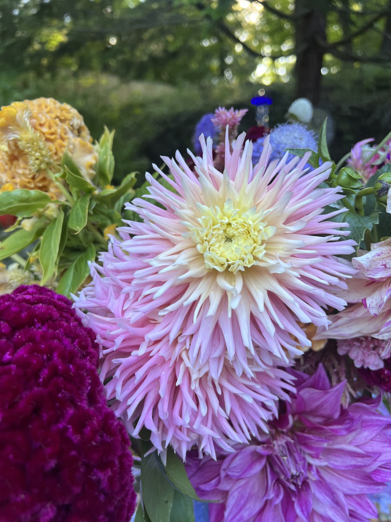 Fresh from the garden