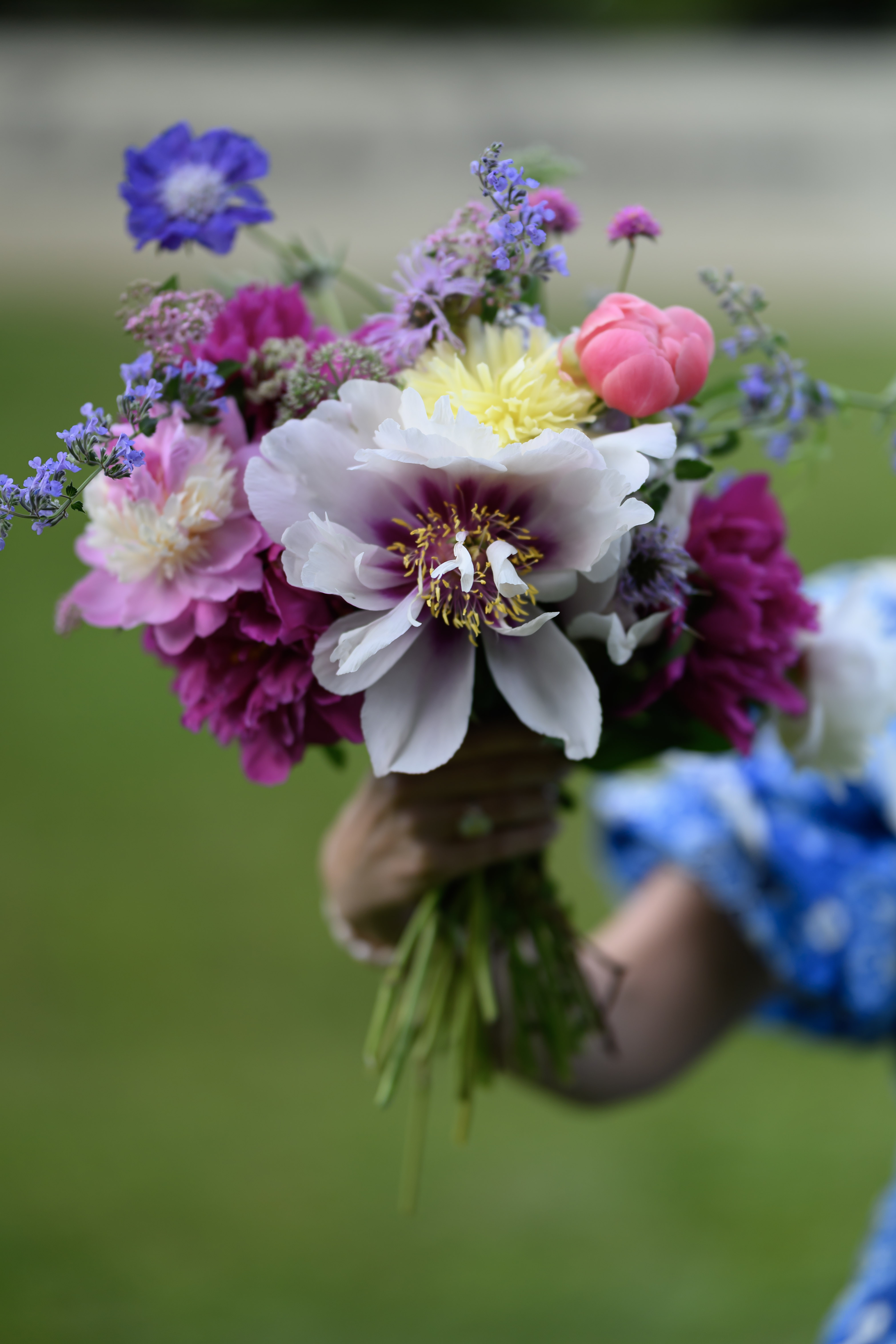 Blooms of Joy