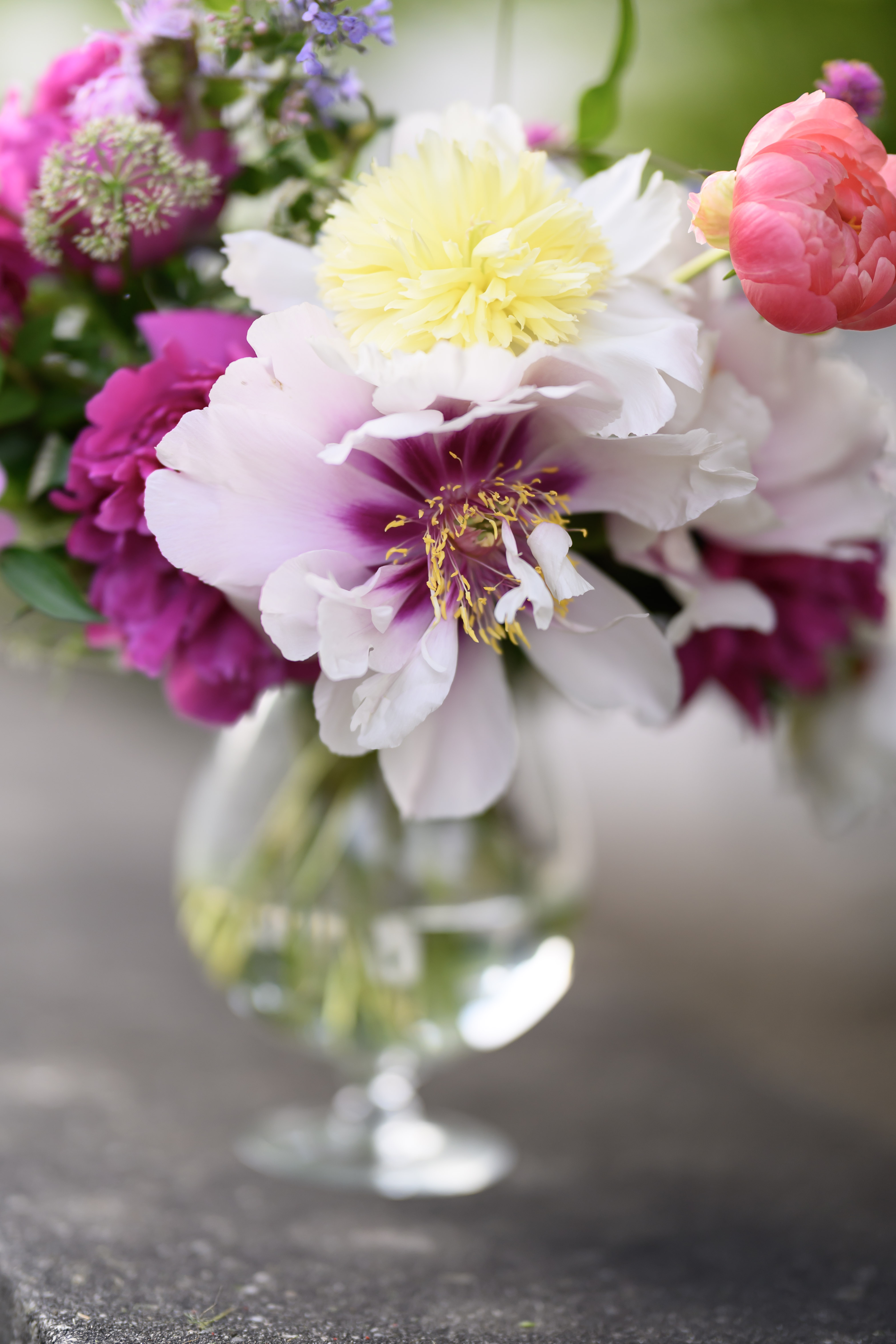Blooms of Joy