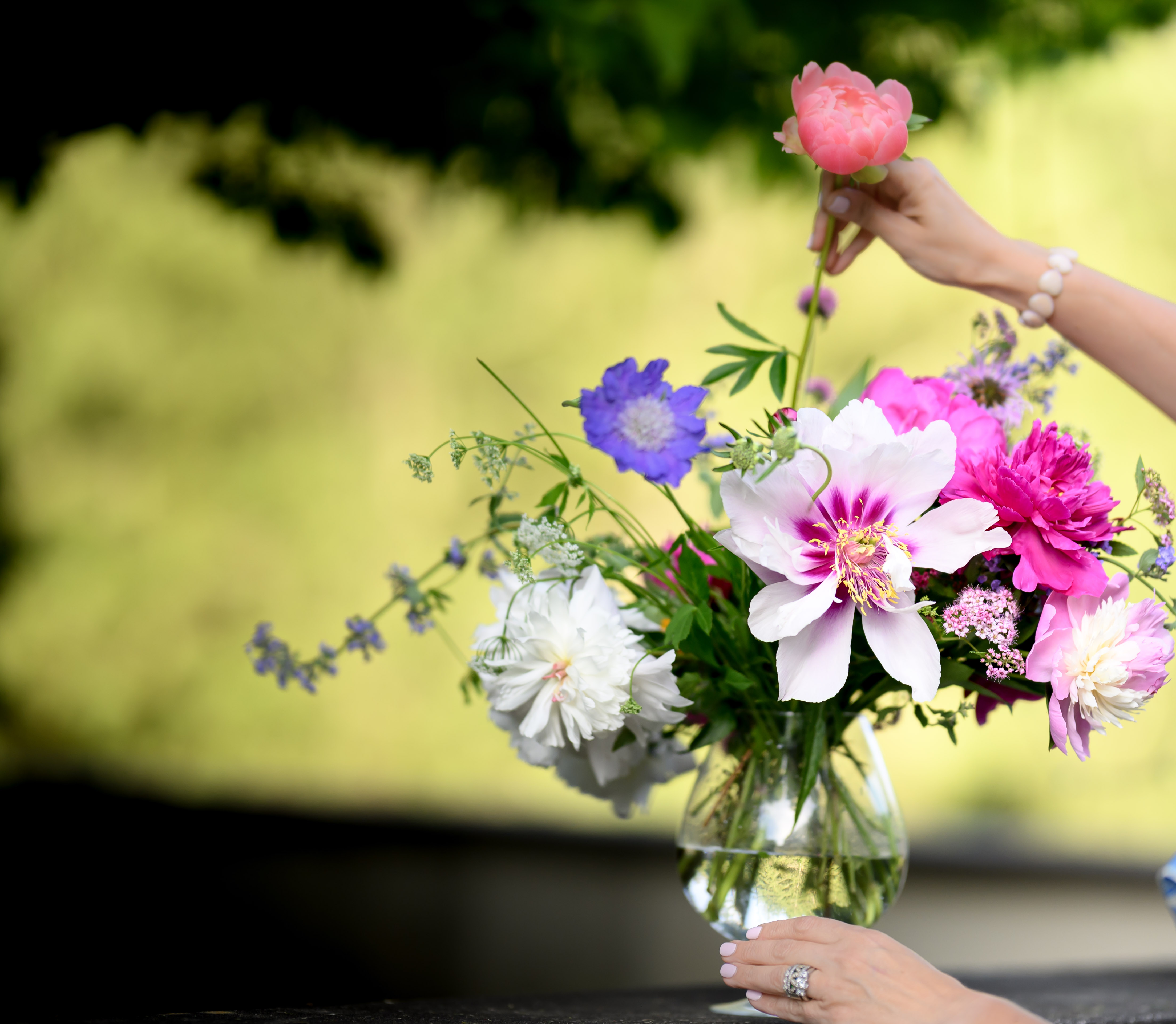 Blooms of Joy
