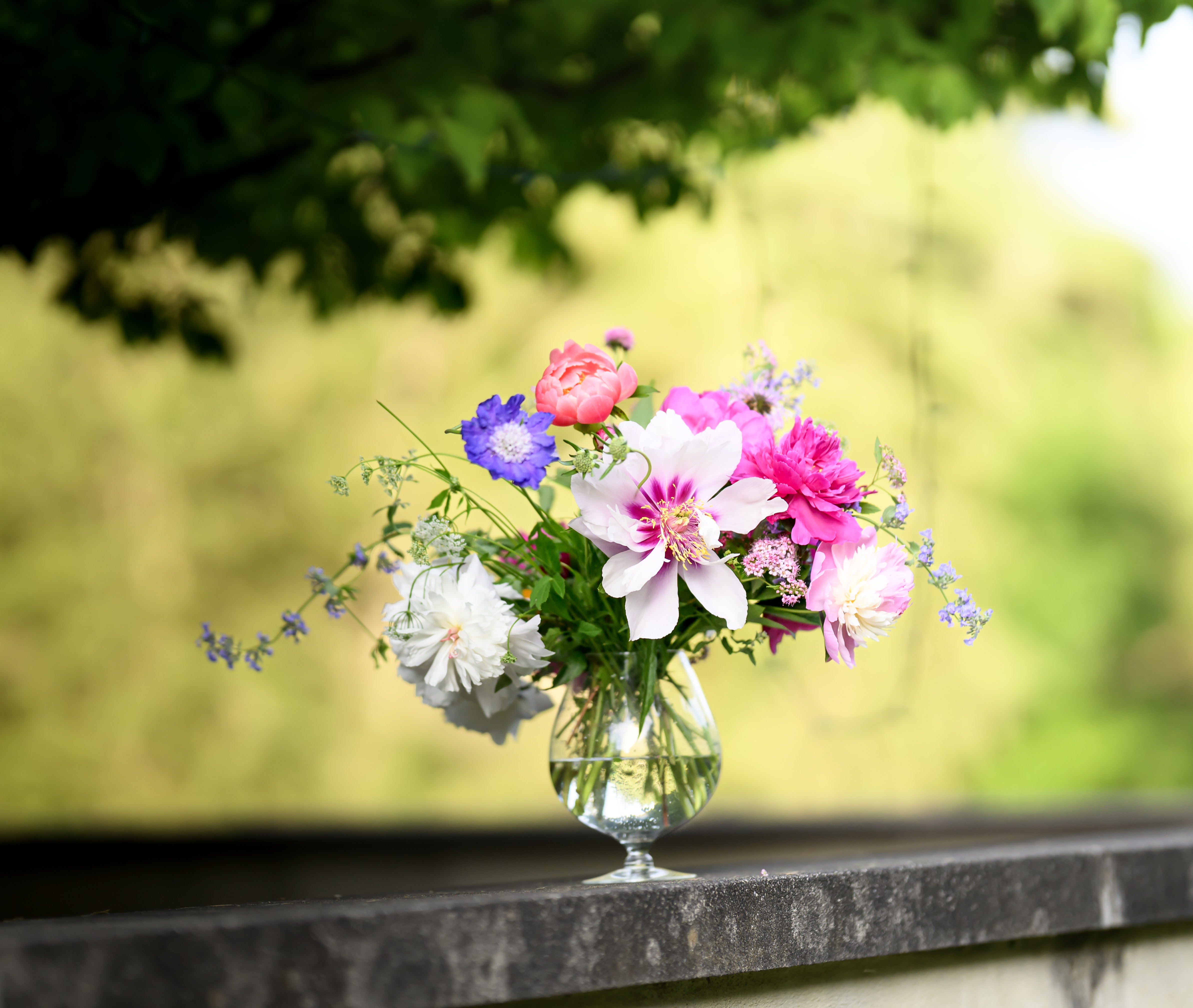 Blooms of Joy