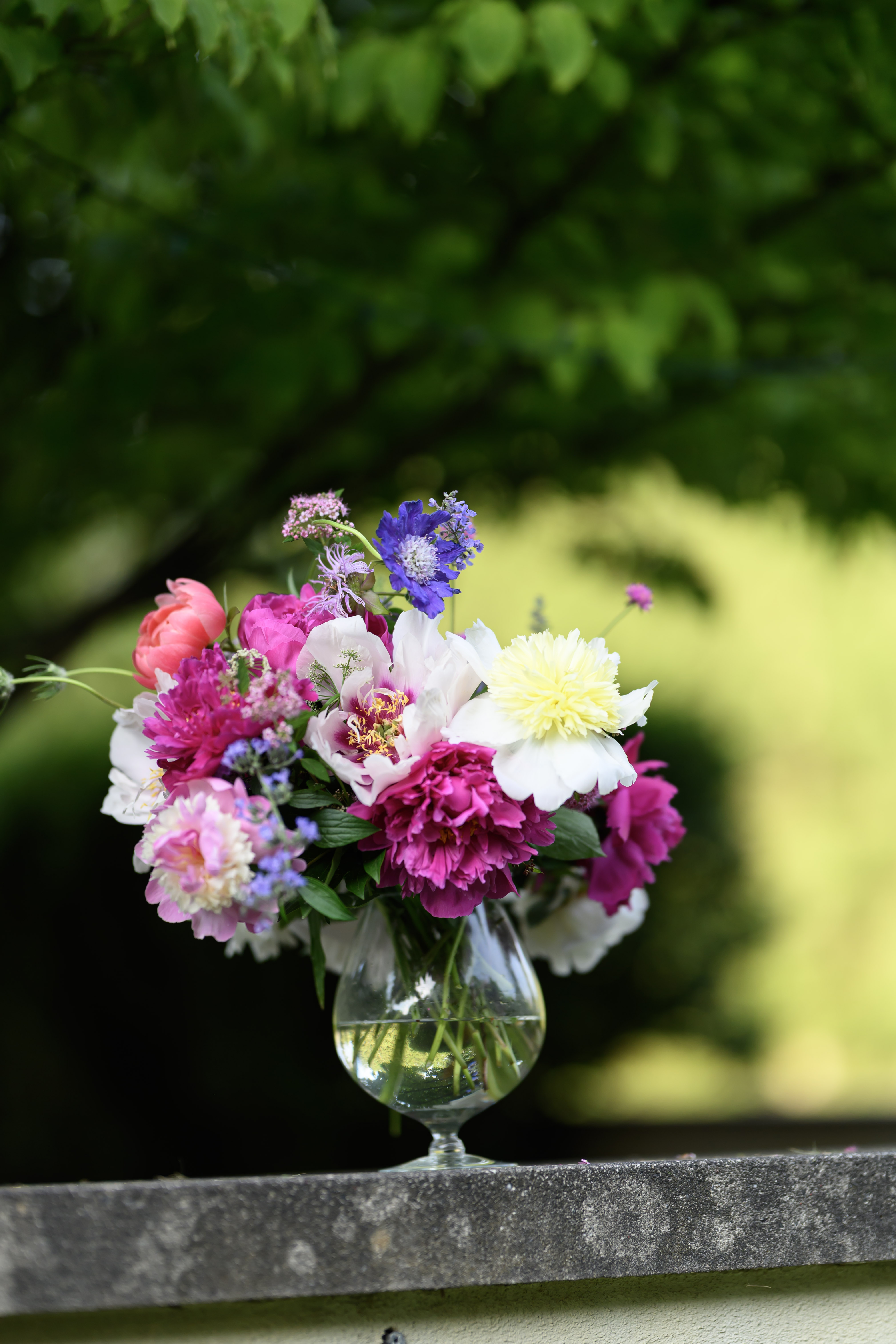 Blooms of Joy