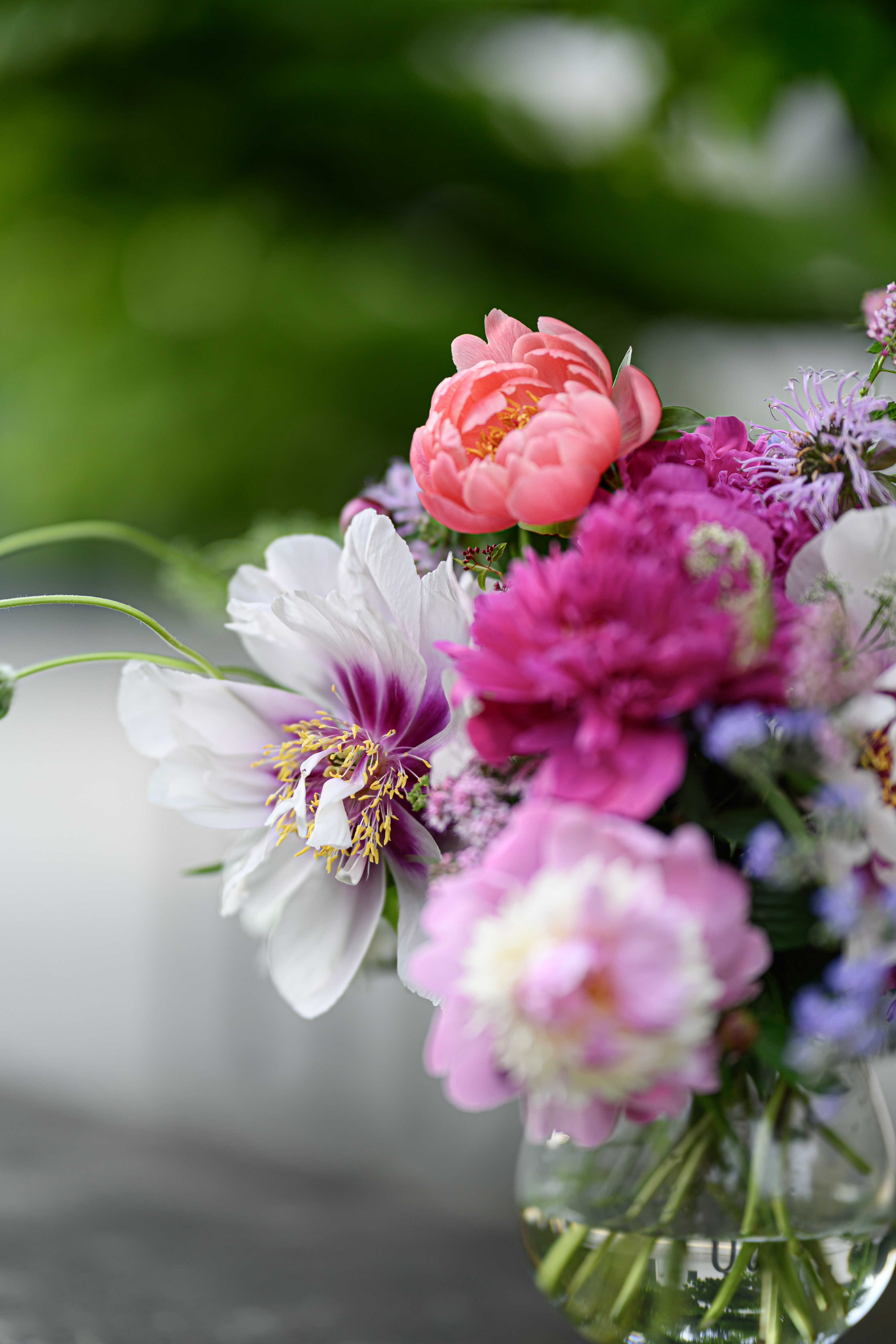 Blooms of Joy