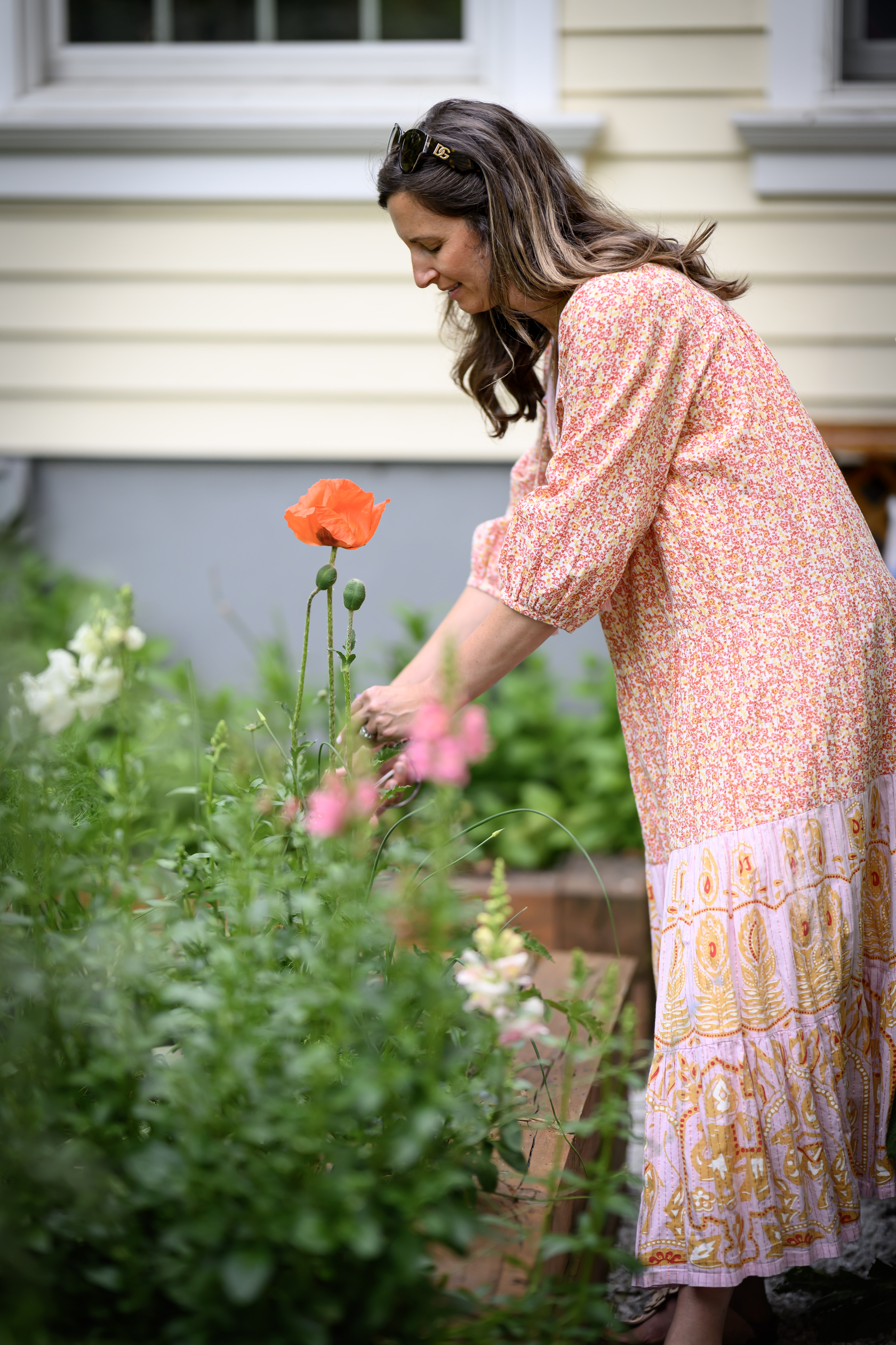 Blooms of Joy