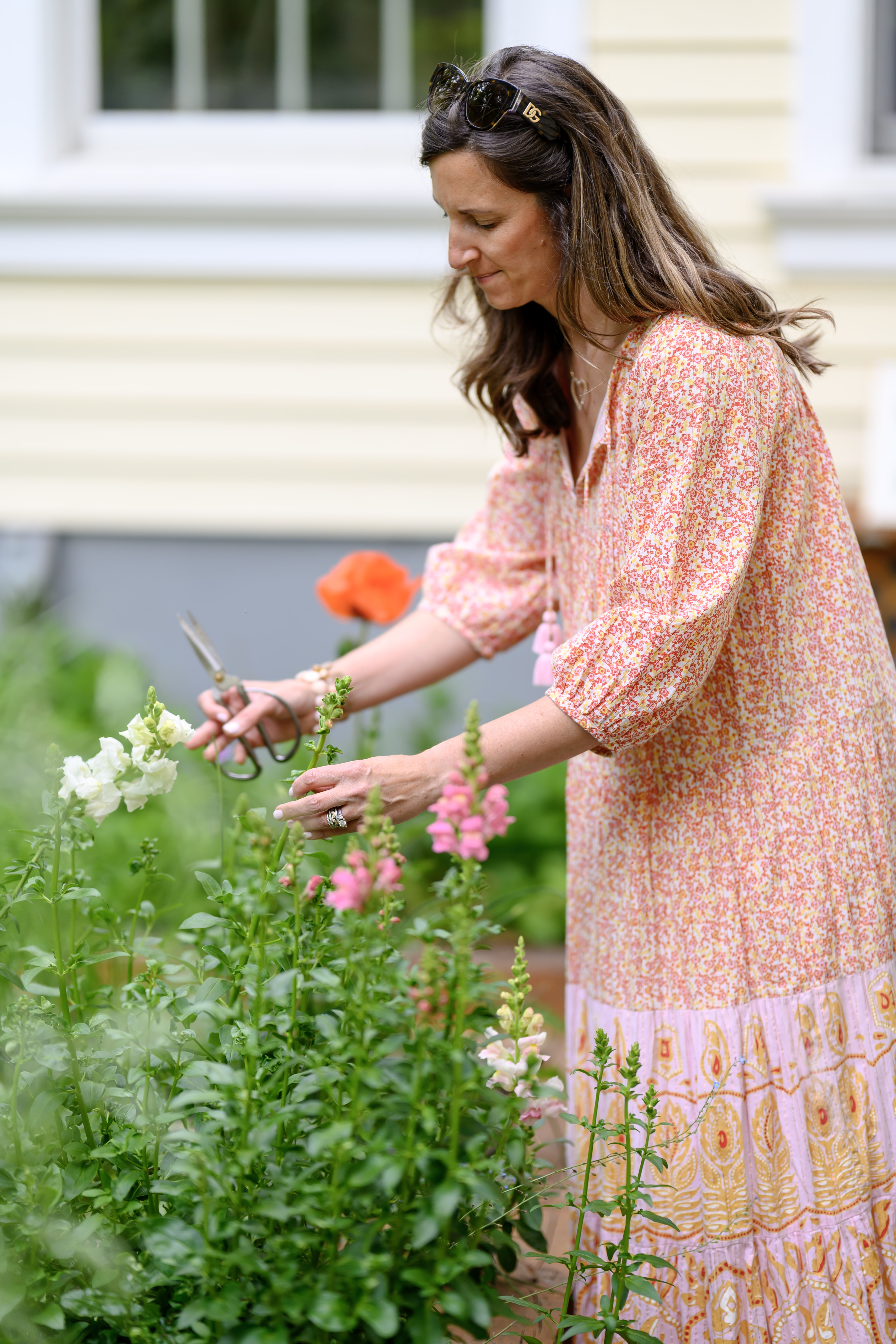 Blooms of Joy