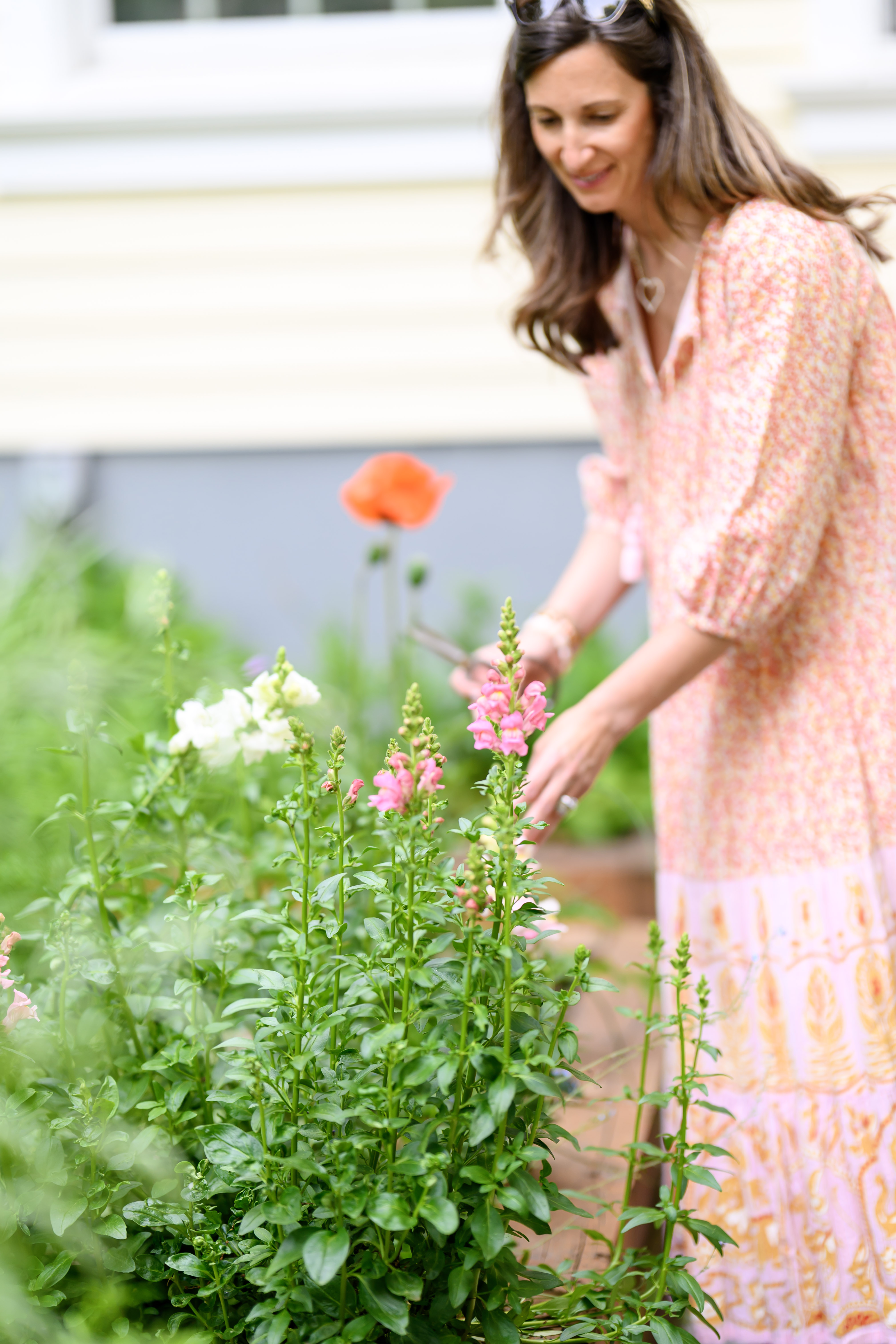 Blooms of Joy