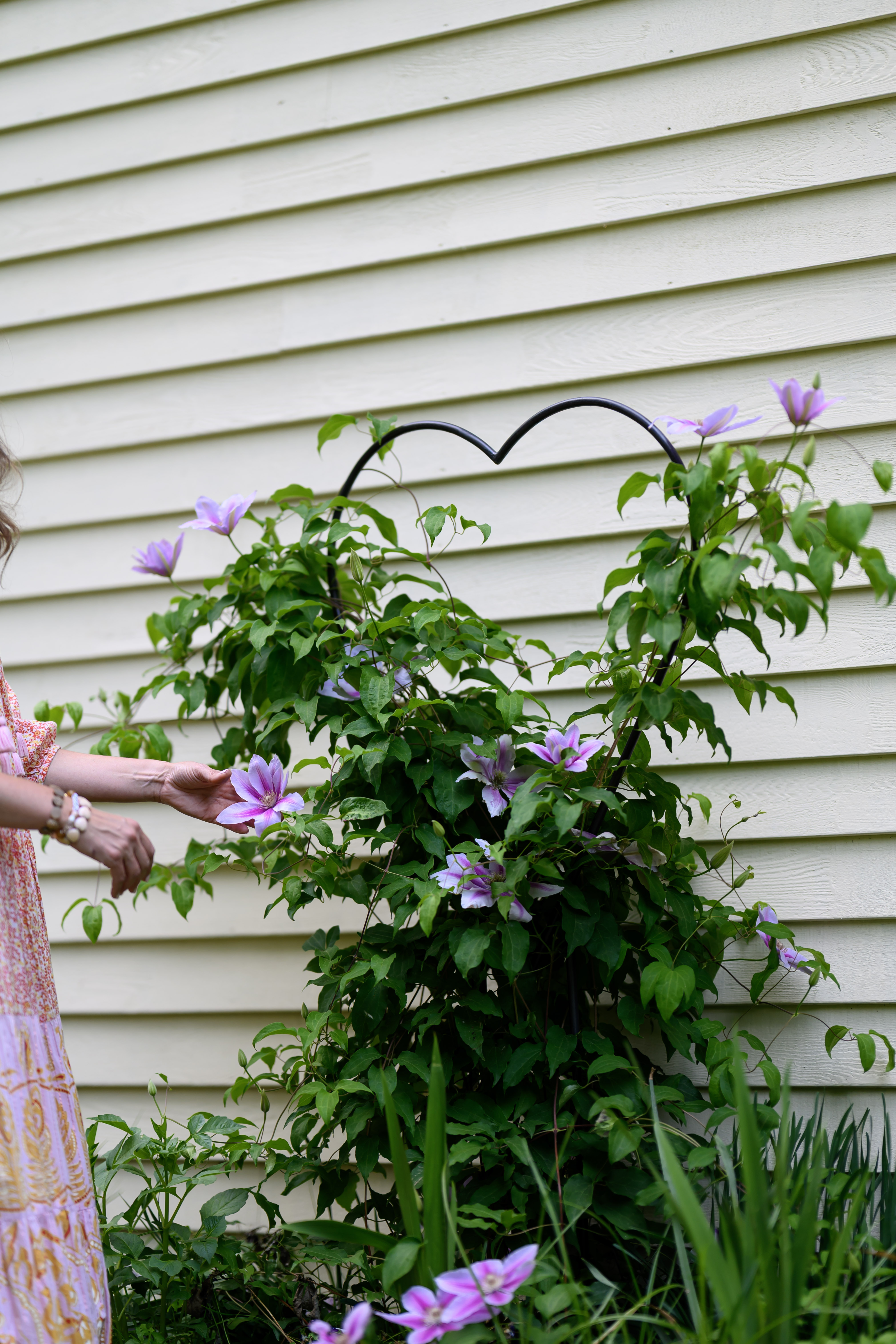 Blooms of Joy