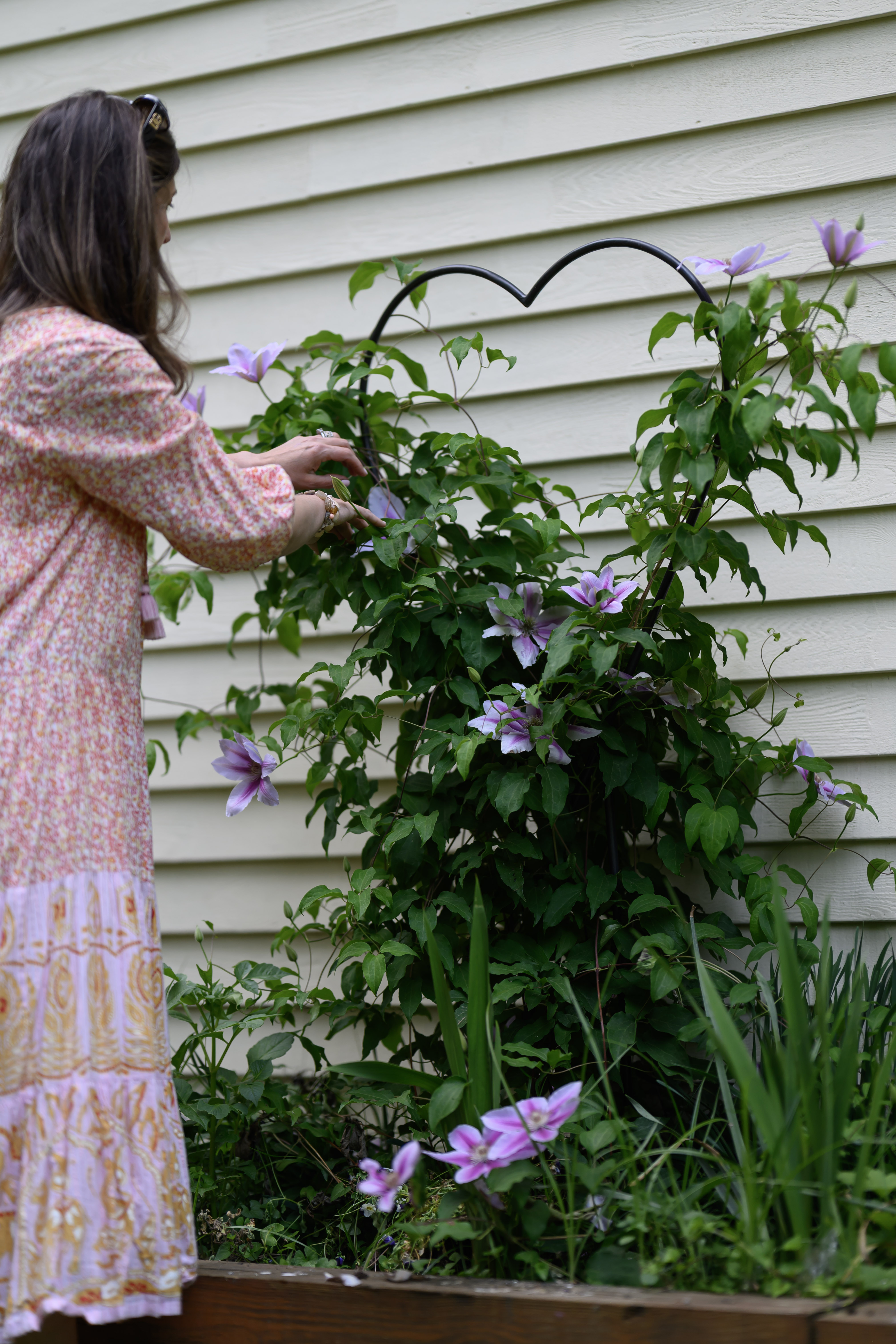 Blooms of Joy