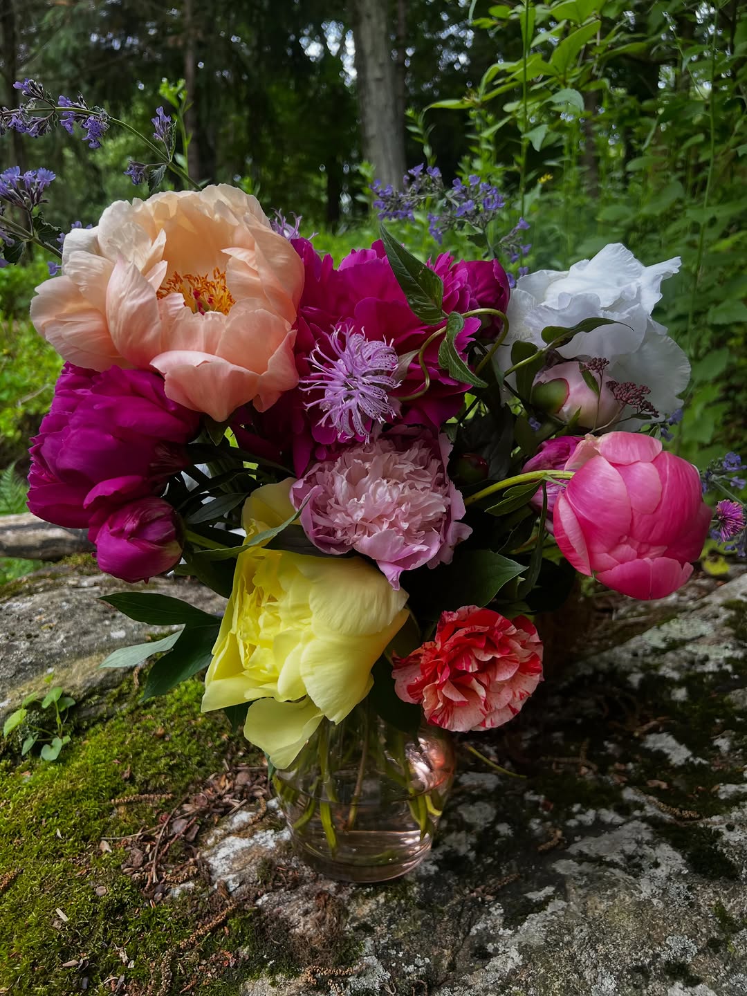 Vibrant petals in full sun