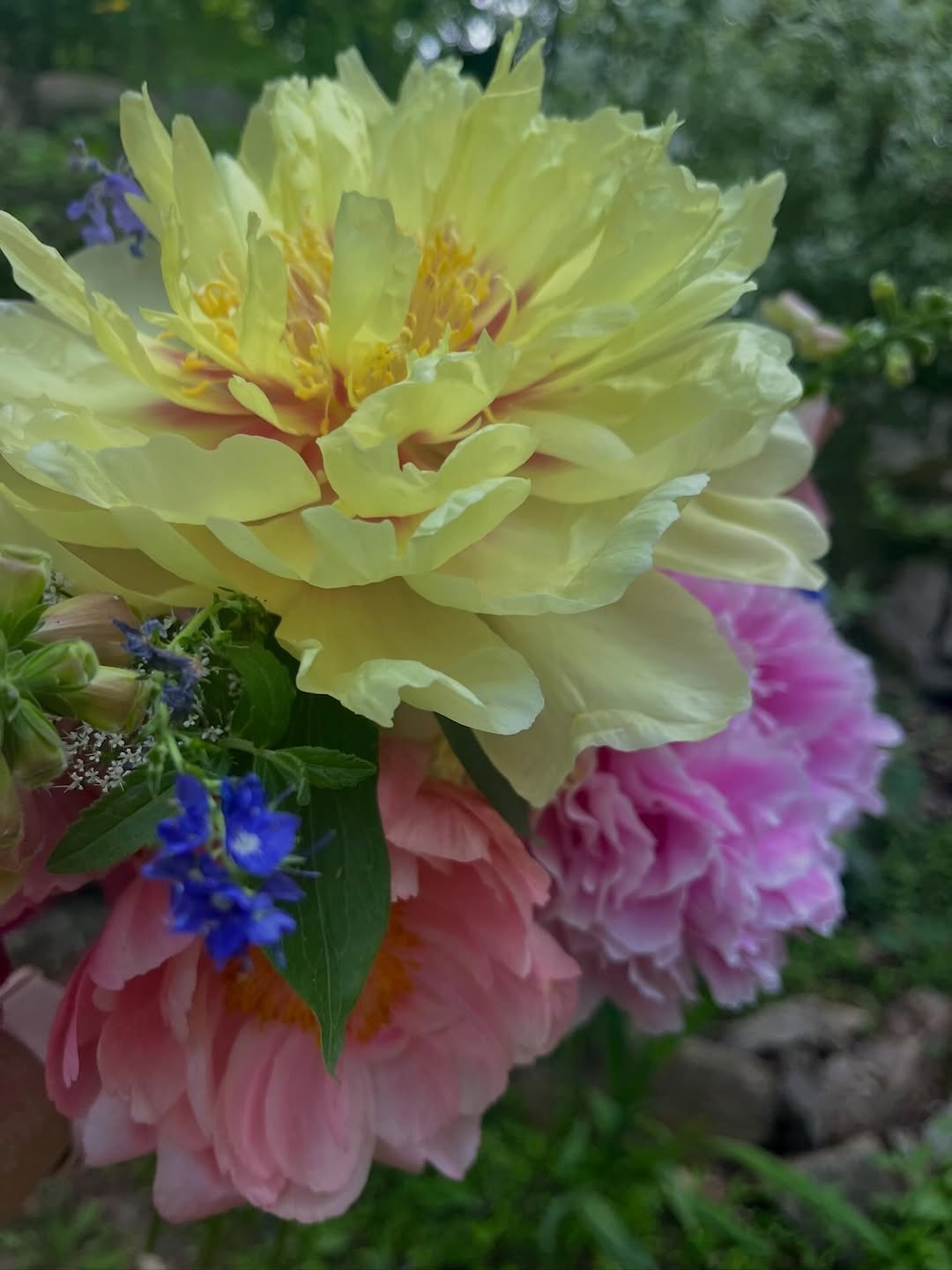 A garden rainbow in a vase